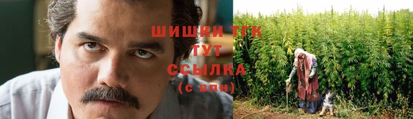 дурь Михайловск