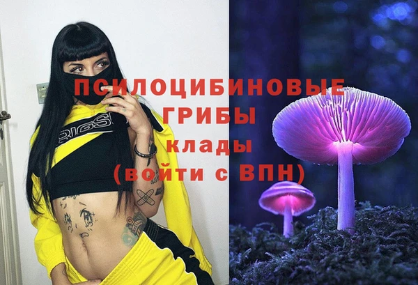 дурь Михайловск