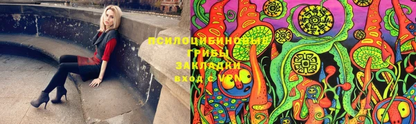 дурь Михайловск