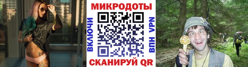 Псилоцибиновые грибы мицелий где купить Артёмовск